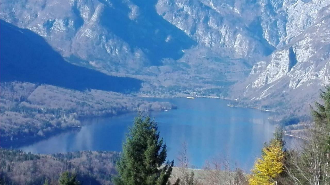 Апартаменти Apartmaji Korosec Na Koprivniku Koprivnik v Bohinju Екстер'єр фото